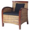 vidaXL Fauteuil Résine Tressée à la Main Salon Chambre à Coucher Intérieur