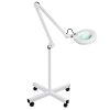 Beltom Lampe LOUPE 5 DIOPTRIES + Pied A 4 roulettes ECLAIRAGE ESTHETIQUE