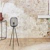 LIFA-LIVING-Lampadaire-sur-pied-salon-134-cm-ou-100-cm-Lampe-trpied-design-moderne-style-vintage-avec-abat-jour-en-cage-Mtal-Noir-0-1 LIFA LIVING Lampadaire sur pied salon (134 cm ou 100 cm), Lampe trépied design moderne, style vintage avec abat-jour en cage, Métal Noir