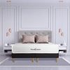 Ensemble Matelas à mémoire de Forme Maxi épaisseur Buckingham 200x200 Double sommier
