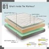 ZenPur-Matelas-Hypoallergnique-Adulte-et-Enfant-Housse-Micro-Perfore-Superstretch-Epaisseur-18-cm-Accueil-Moelleux-Mousse-Soft-Confort-Technologie-Eliocell-23D-Core-Garantie-10-Ans-0-0 ZenPur Matelas Hypoallergénique Adulte et Enfant Housse Micro-Perforée Superstretch® - Epaisseur 18 cm - Accueil Moelleux Mousse Soft Confort - Technologie Eliocell 23D Core - Garantie 10 Ans