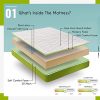ZenPur-Matelas-Mmoire-de-Forme-Adulte-et-Enfant--lAloe-Vera-et-Visco-Soja-Epaisseur-21-cm-Accueil-Moelleux-en-Mousse--Mmoire-de-Forme-Technologie-Eliocell-23D-Core-Garantie-2-Ans-0-0 ZenPur Matelas Mémoire de Forme Adulte et Enfant à l'Aloe Vera et Visco Soja - Epaisseur 21 cm - Accueil Moelleux en Mousse à Mémoire de Forme - Technologie Eliocell 23D Core - Garantie 2 Ans