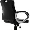 41hr1WdZL._AC_.jpg IntimaTe WM Heart Racing Chaise de Gamer Professionnel Siège de Bureau Fauteuil de Gaming Ergonomique Dossier Haut Inclinable en Similicuir pour PC Joueur (Noir)