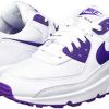Nike Air Max 90, Chaussure de Course Homme