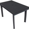 vidaXL Table de Jardin Table de Salle à Manger Dîner Repas Table de Patio Camping Terrasse Arrière-Cour Extérieur Anthracite 126x76x72 cm Plastique