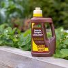 41EM1wtWx3L._AC_.jpg Solabiol SOLICOMP1 Engrais Complet Liquide 1L - Engrais universel | Utilisable en Agriculture Biologique