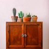 41U3PddzeL._AC_.jpg OR BRUN Engrais Plantes d'Intérieur, Orange, 300 ml