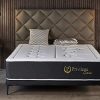 41ccbqAqV7L._AC_.jpg NATURALEX | Matelas Privilege 180x200 Cm | 1-2 Personnes | Collection HOTELLERIE Deluxe Grand Confort 30 CM | Mousse A Mémoire Multizones | Multicouches HR Blue Latex | Ergonomique| Haut de Gamme