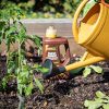 513pp8GXWdL._AC_.jpg Solabiol SOLICOMP1 Engrais Complet Liquide 1L - Engrais universel | Utilisable en Agriculture Biologique