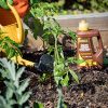 51UDdHlZ3mL._AC_.jpg Solabiol SOLICOMP1 Engrais Complet Liquide 1L - Engrais universel | Utilisable en Agriculture Biologique