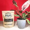 La Belle Bouse | Fertilisant Universel 250g | Naturel & Bio | Fabriqué en France | Convient à Toutes Les Plantes