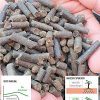 51a4hAZrA5L._AC_.jpg Humusziegel - Engrais organique de fumier de cheval granulés - engrais pour fleurs engrais naturel organique 7,5 kg
