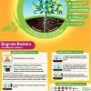 51p8RLBWsXL._AC_.jpg Solabiol SOROSY750 Engrais Rosiers Et Arbustes A Fleurs 750 G | Nutrition Longue Durée, Fertilisation Douce et Régulière