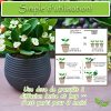 51sSYiIkadL._AC_.jpg Milytec Engrais Plantes Vertes Naturel Bio, NPK, Fertilisant Universel 1000g, Fabrication Française. Naturel Et sans Odeur. 100% Organique. Utilisation en Intérieur Et Au Jardin. Idéal Géranium.
