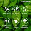 51wsLCa51JL._AC_.jpg Nortembio Agro Sulfate de Magnésium Naturel 2,5 Kg. Engrais d'Utilisation Universelle. Améliore la Croissance des Cultures, des Jardins, des Plantes d’Intérieur et d’Extérieur.