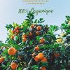 61WLa8NBnL._AC_.jpg R'Garden | Engrais Organique Agrumes | Engrais Ecologique | Fertilisant Naturel | Nourrit en Profondeur | Facile d’Utilisation | 1KG