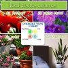 61ZsPbDIV7L._AC_.jpg Milytec Engrais Plantes Vertes Naturel Bio, NPK, Fertilisant Universel 1000g, Fabrication Française. Naturel Et sans Odeur. 100% Organique. Utilisation en Intérieur Et Au Jardin. Idéal Géranium.