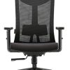 Amazon Brand – Umi.Chaise de Bureau Ergonomique-Fauteuil de Bureau avec Amazon Brand – Umi.Chaise de Bureau Ergonomique-Fauteuil de Bureau avec Soutien au Niveau des Lombaires et Accoudoirs en Polyuréthane Réglables-Siège Rembourré-Capacité de Charge Maximale de 150kg