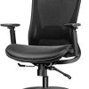 BYRORAS Chaise de Bureau, Fauteuil de Bureau Ergonomique et Appui-tête BYRORAS Chaise de Bureau, Fauteuil de Bureau Ergonomique et Appui-tête Siège en Maille Soutien Lombaire Ajustable avec Accoudoirs Réglable et Inclinaison du Dossier(Noir)