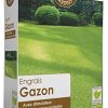 R’Garden | Engrais Organique Gazon Pelouse | Engrais Ecologique Biologique | Fertilisant Naturel | Nourrit en Profondeur | Facile d’Utilisation | 1KG