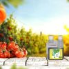 Bio Technology® | Engrais et nutriments Biologiques et naturels| Engrais Croissance | Fertilisant Croissance Organique | Engrais Complet Croissance | Super Racines | ORGA Grow – 250 ML