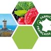 Easy Hydroponics - Nutriments - Grow 1 L (croissance) - Engrais complet pour cultures hydroponiques