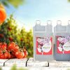 41qpipfkVfL._AC_.jpg Bio Technology® | Engrais Floraison de Qualité | Fertilisant Floraison Universel| Super rendement et améliore Les arômes | Fabriqué en France | Bloom A+B - 1 L