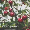 R’Garden | Engrais Organique Arbres Fruitiers | Engrais Ecologique | Fertilisant Naturel | Nourrit en Profondeur | Facile d’Utilisation | 500G