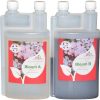Bio Technology® | Engrais Floraison de Qualité | Fertilisant Floraison Bio Technology® | Engrais Floraison de Qualité | Fertilisant Floraison Universel| Super rendement et améliore Les arômes | Fabriqué en France | Bloom A+B - 1 L