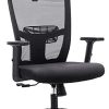 Frarlsh Fauteuil de Bureau en Accoudoirs Réglable et Hauteur Réglable, Frarlsh Fauteuil de Bureau en Accoudoirs Réglable et Hauteur Réglable, Ergonomique Chaise en Maille Respirante, Siège d'ordinateur Pivotant avec Dossier Inclinable (Noir)