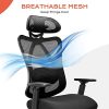 41MuwMG7cAL._AC_.jpg BASETBL Chaise de Bureau, Fauteuil de Bureau, Fauteuil Ergonomique avec Appui-Tête, Chaise Réglable en Coussin, Accoudoirs, Dossier et Support Lombaire, Charge Max 150kg (Noir)
