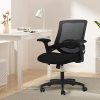 41W5Vp-9TkL._AC_.jpg Hbada Chaise de Bureau Ergonomique avec Support Lombaire, Siège de Bureau en Maille, Fauteuil avec Accoudoir et Hauteur Réglable, Noir