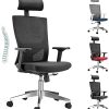 WeValley Chaise de Bureau Ergonomique, Fauteuil de Pivotant en Maille WeValley Chaise de Bureau Ergonomique, Fauteuil de Pivotant en Maille Avoir Soutien Lombaire et Accoudoir Réglable, Capacité Maximal de 180 KG Noir