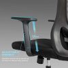 Intimate WM Heart Chaise de Bureau, Fauteuil de Bureau en Maille, Chaise de Bureau Ergonomique, avec Accoudoirs et Appui-tête Ajustables,Soutien Lombaire Ajustable, Noir