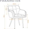 Chaise de Salle à Manger, Chaise de Loisirs en Velours Gris, Canapé à 1 Place, Siège d'accueil pour Salon/Chambre/Balcon