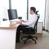Chaise de Bureau Ergonomique Fauteuil de Bureau Professionnel avec Accoudoirs Réglables Soutien Lombaire Dossier en Maille Respirante Charge Maximal 150KG