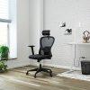 Intimate WM Heart Chaise de Bureau, Fauteuil de Bureau en Maille, Chaise de Bureau Ergonomique, avec Accoudoirs et Appui-tête Ajustables,Soutien Lombaire Ajustable, Noir