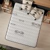 518-ayEaDIL._AC_.jpg NATURALEX | Matelas Visco Carbone 160x200 Cm | Neutralisation des Odeurs Absorption des Polluants | Mousse A Mémoire Haute Densité Ultra-Respirable | Multicouches Extra Confort 7 Zones| Anti-Stress