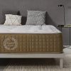 51vIA7IWnuL._AC_.jpg Living Sofa Matelas 160x200 cm à mémoire de Forme Bliss Comfort® | Épaisseur 30 cm | 11 Zones de Confort | Soutien Ferme | Mouse H.R. Haute densité | Ergonomique et Orthopédique | Extrêmement Durable