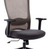 Amoiu Chaises de Bureau en Maille Tissu, Chaises Fauteuil Exécutif Accoudoirs Amoiu Chaises de Bureau en Maille Tissu, Chaises Fauteuil Exécutif Accoudoirs Multi Fonction,Soutien Lombaire Ajustable, Siège Ergonomique Inclinable Appui,Gris