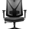 Chaise de Bureau Ergonomique Fauteuil de Bureau Professionnel avec Accoudoirs Réglables Soutien Lombaire Dossier en Maille Respirante Charge Maximal 150KG