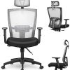 mfavour Chaise de Bureau, Chaise Bureau Ergonomique, Fauteuil de Bureau, mfavour Chaise de Bureau, Chaise Bureau Ergonomique, Fauteuil de Bureau, Siège Confortable Fauteuil Ergonomique avec 2D Accoudoirs, Hauteur Apui-tête Soutien Lombaire Dossier Règalable (Gris)
