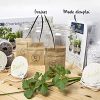 51LiECp2uNS._AC_.jpg Cultivea – Kit Prêt à Pousser d’Herbes Aromatiques – Graines Françaises 100% Écologiques et Bio – Jardin potager d’intérieur – Plante (Basilic, Persil et Ciboulette) - Idée Cadeau -