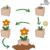 51MirKYQAL._AC_.jpg Feel Green Ecocube Arbre À Orchidées, L’Arbre Fleurit Comme Une Orchidée, Idée Cadeau (100% Ecologique), Grow-Your-Own/Kit Prêt-à-Pousser, Plantes Dans Des Cubes En Bois 7.5cm, Produit En Autriche