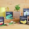 51mS47xCH6L._AC_.jpg Feel Green Ecocube Arbre À Orchidées, L’Arbre Fleurit Comme Une Orchidée, Idée Cadeau (100% Ecologique), Grow-Your-Own/Kit Prêt-à-Pousser, Plantes Dans Des Cubes En Bois 7.5cm, Produit En Autriche