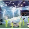 51nSYJJYoaS._AC_.jpg Playmobil- Magische Energiequelle Feen Jeux de Construction, 70800