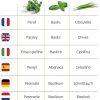 51oRYzHadOL._AC_.jpg Cultivea – Kit Prêt à Pousser d’Herbes Aromatiques – Graines Françaises 100% Écologiques et Bio – Jardin potager d’intérieur – Plante (Basilic, Persil et Ciboulette) - Idée Cadeau -