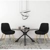 Lestarain Lot de 2 Chaises de Salle à Manger avec Dossier Chaise de Cuisine Rétro Chaise de Salon Assise en Velours et Pieds en Métal,Noir