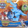 51km-Ong9L._AC_.jpg LA PAT' PATROUILLE – PACK DE 2 FIGURINES DINO RESCUE - MODÈLE MARCUS – Figurines De Marcus, Vélociratpor et Dinosaure Mystère – 6059510 – Paw Patrol – Jouet Enfant 3 Ans et +