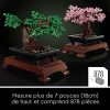 51j5obkTrnS._AC_.jpg LEGO 10281 Creator Expert Bonsaï, Projet de Bricolage pour Adultes, Arbre pour la Maison, Collection botanique